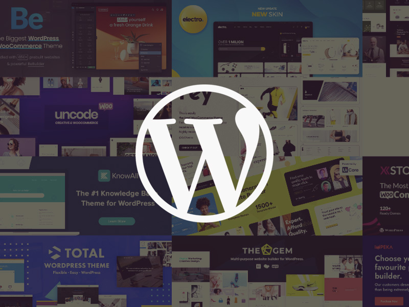 These Top 10 WordPress Themes for 2023